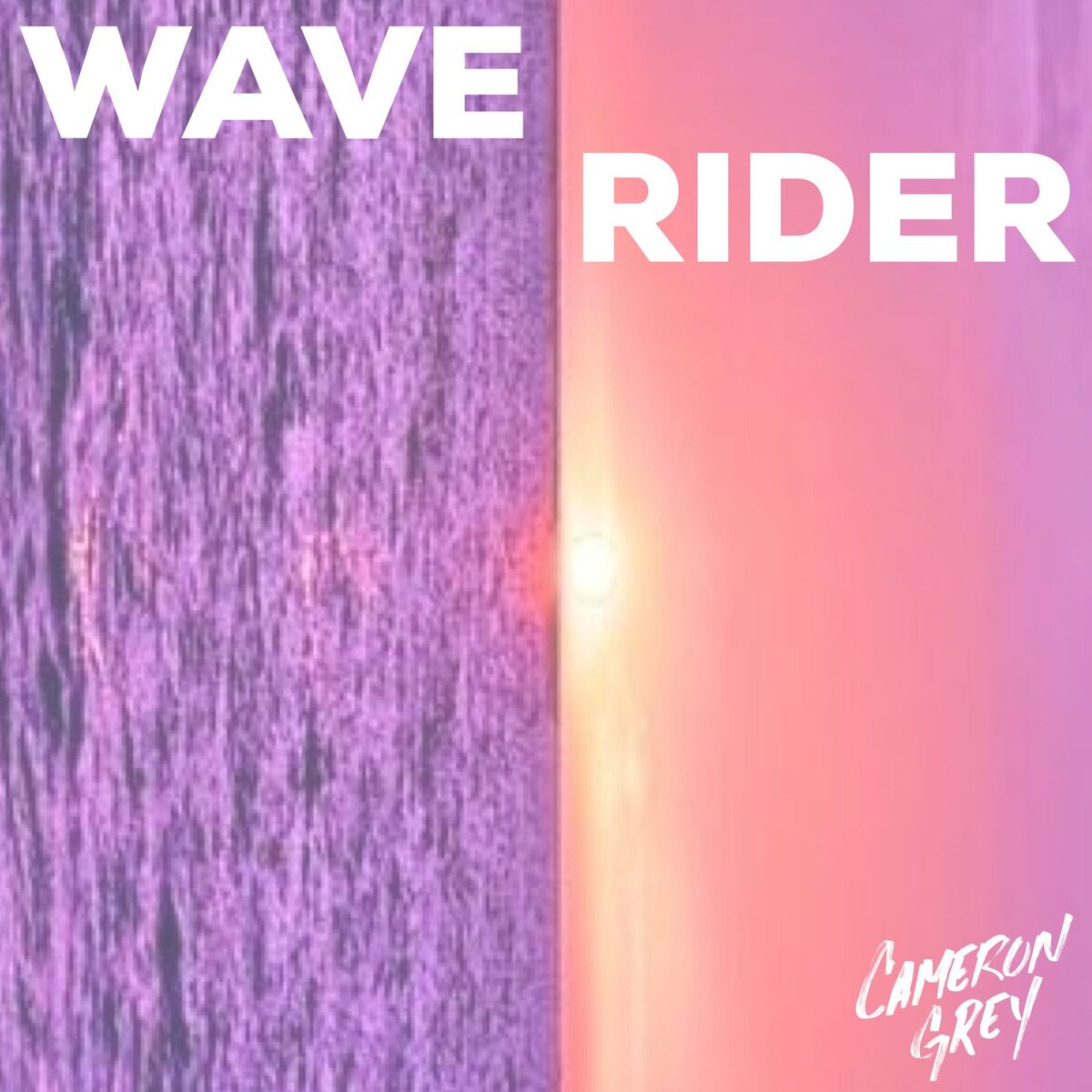 Album cover of Wave Rider
