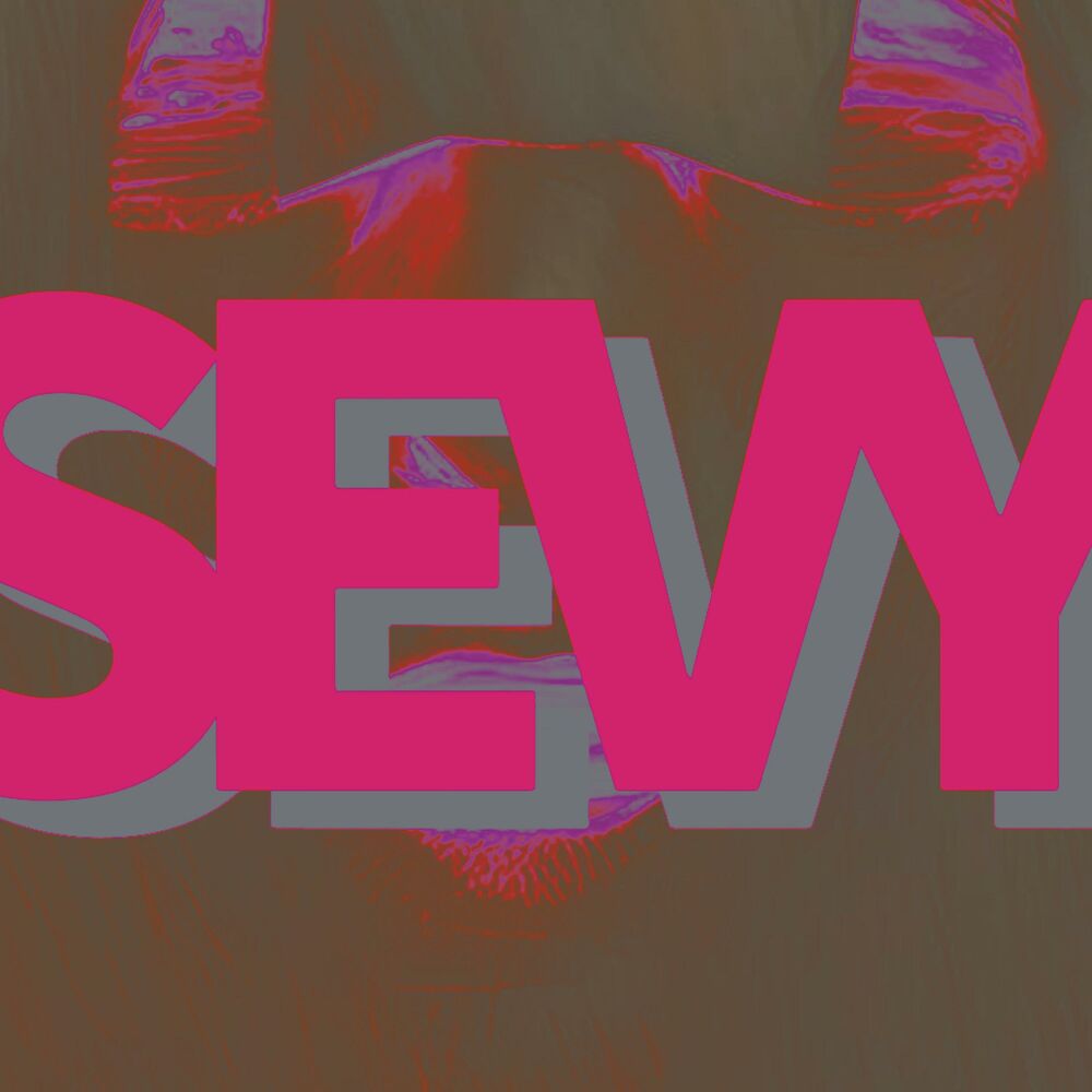 Picture of SEVY