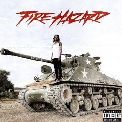 Cover of FIRE HAZARD
