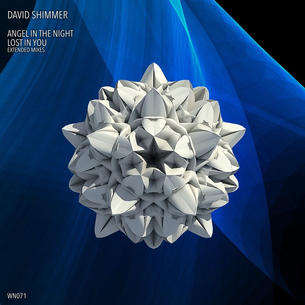 Picture of Angel in the Night (Extended Mix)