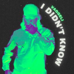 Cover of I Didn't Know