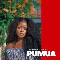 Cover of Pumua