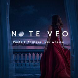 Pochette album