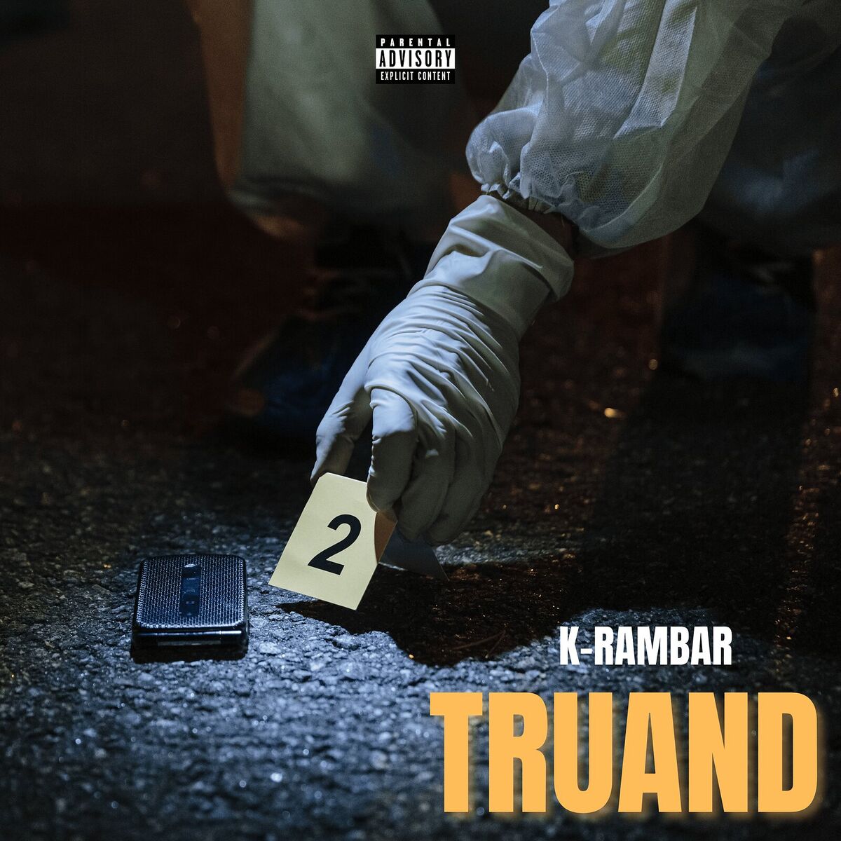 Album cover of Truand