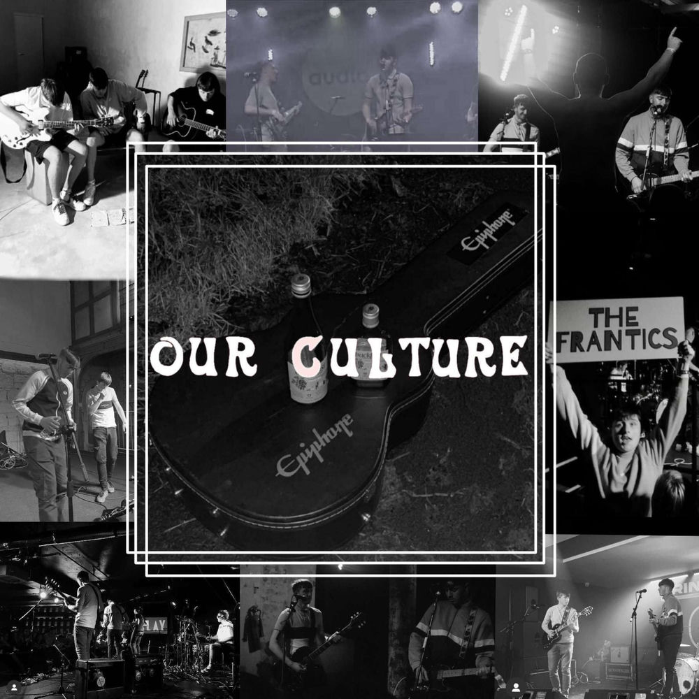 Album artwork for Our Culture (Demo) by The Frantics