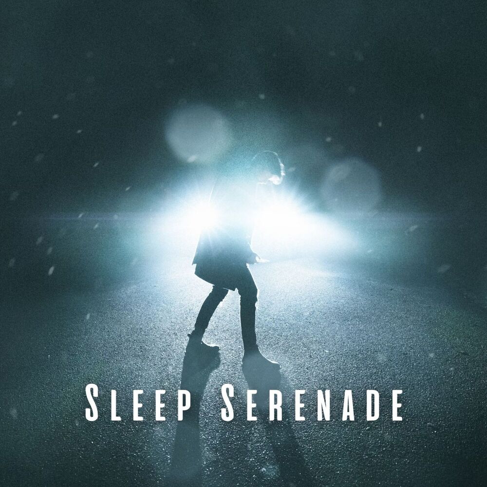 Picture of Sleep Serenade: Tranquil Rain and Crystal Singing Bowl Sounds