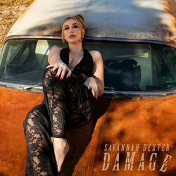 Cover of Damage