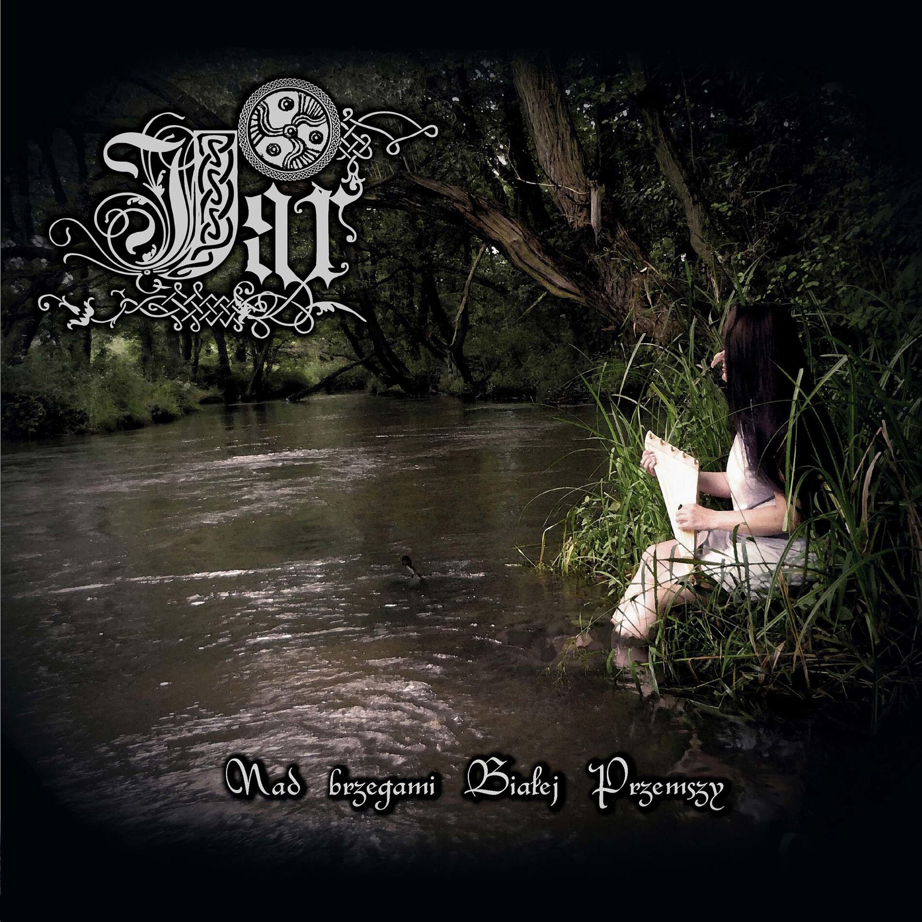 Album cover of Boginki