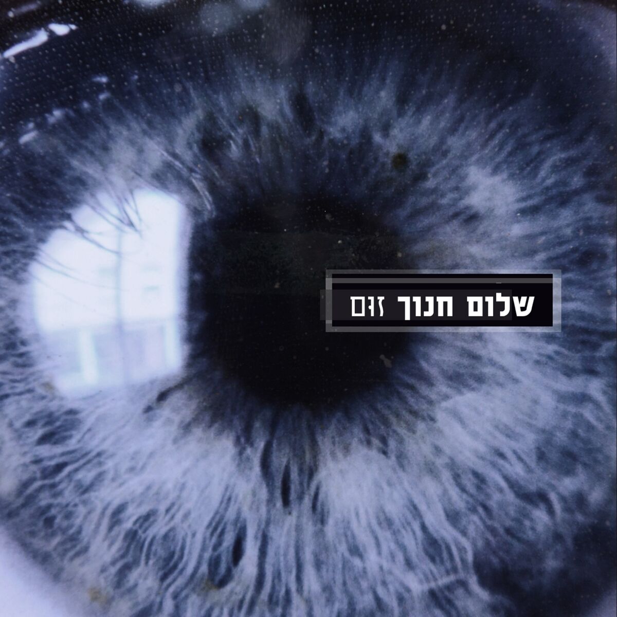 Album cover of Zoom