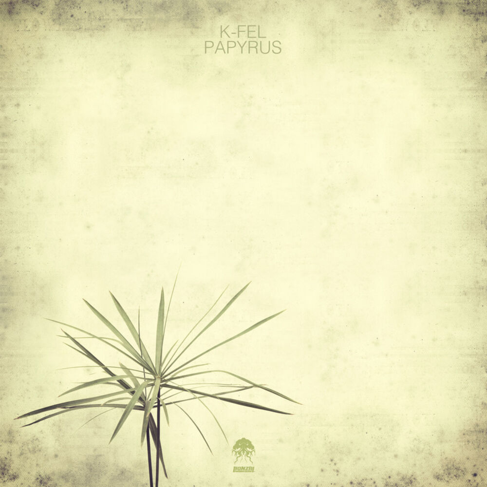 Picture of Papyrus