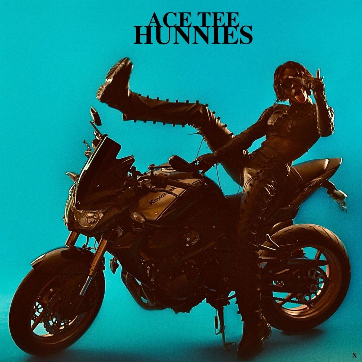 Album cover of HUNNIES