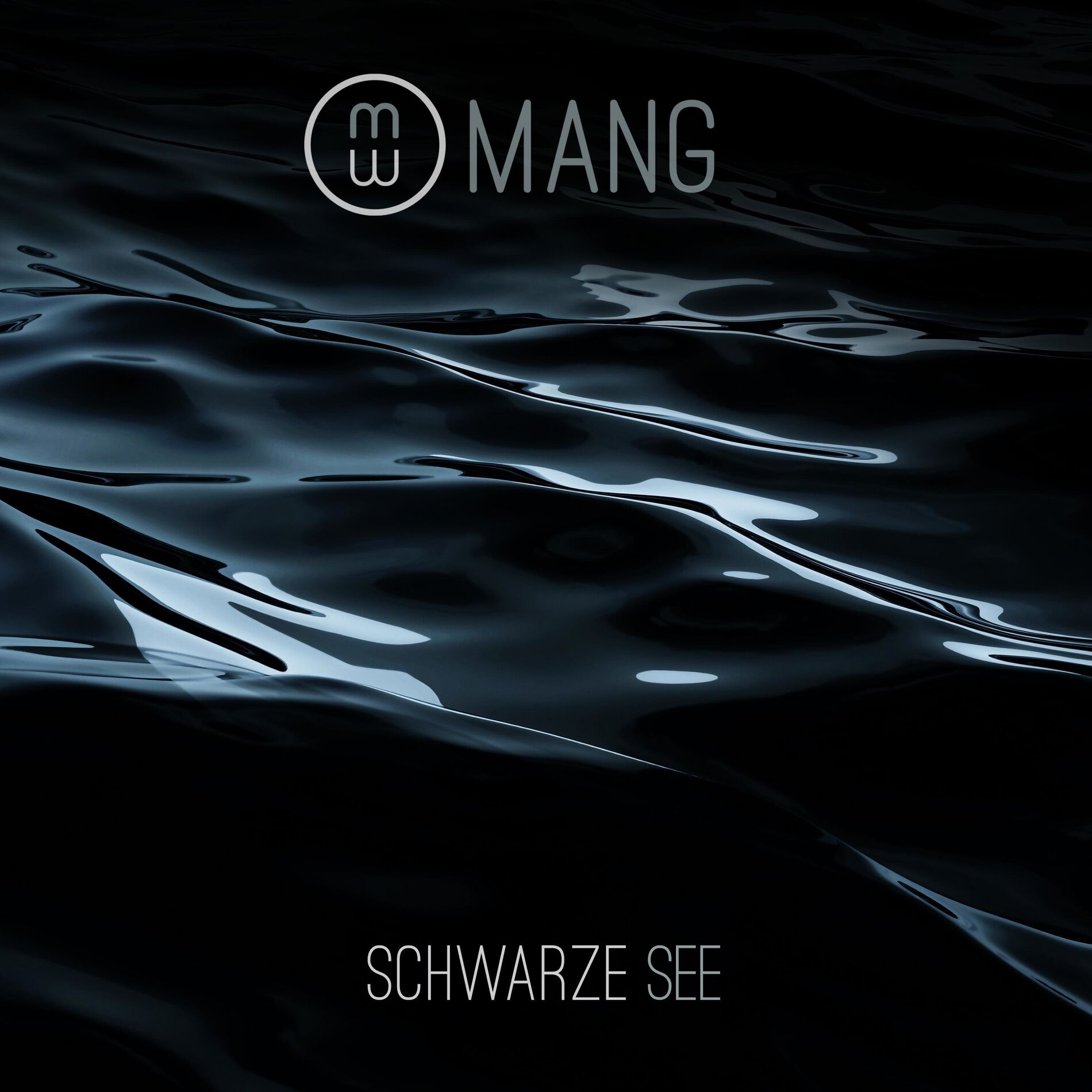 Album cover of Schwarze See