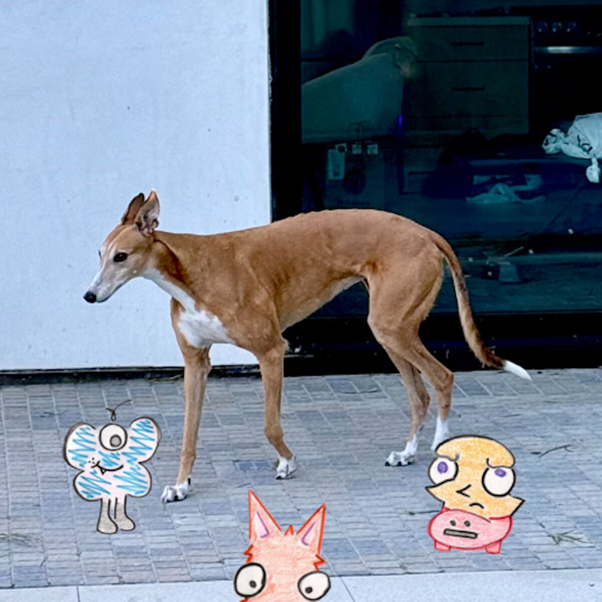 Album cover of Chance