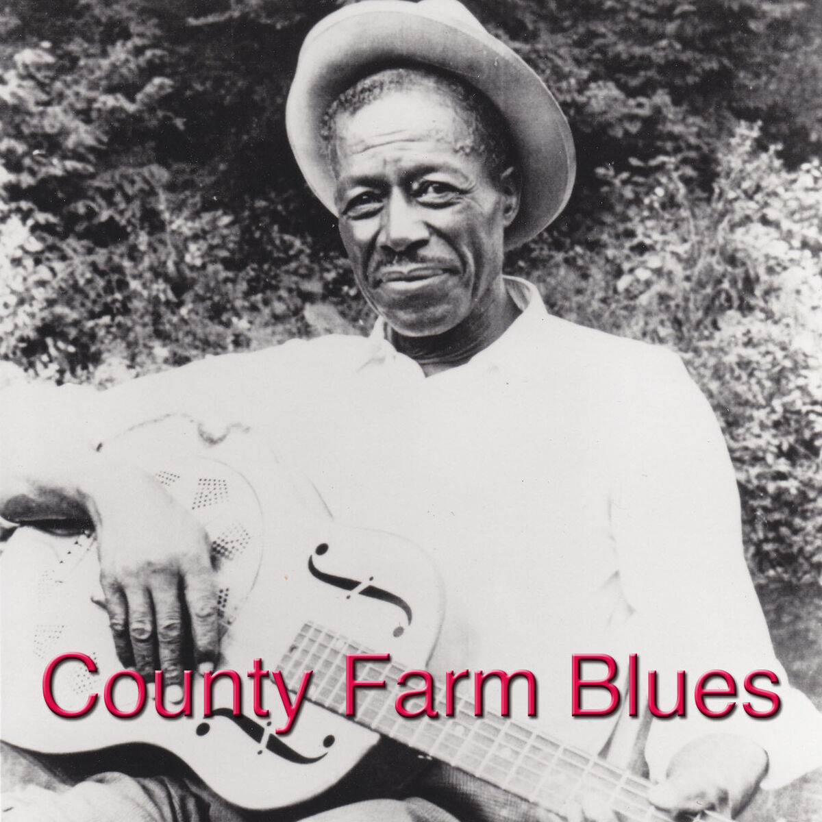Album cover of County Farm Blues