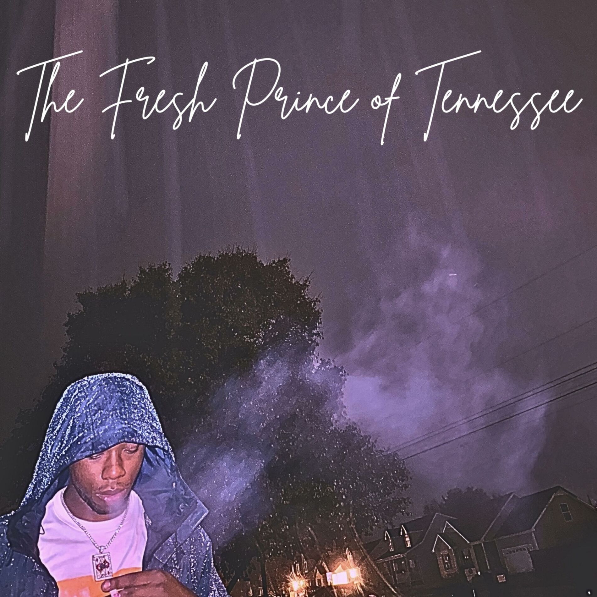 Album cover of The Fresh Prince of Tennessee