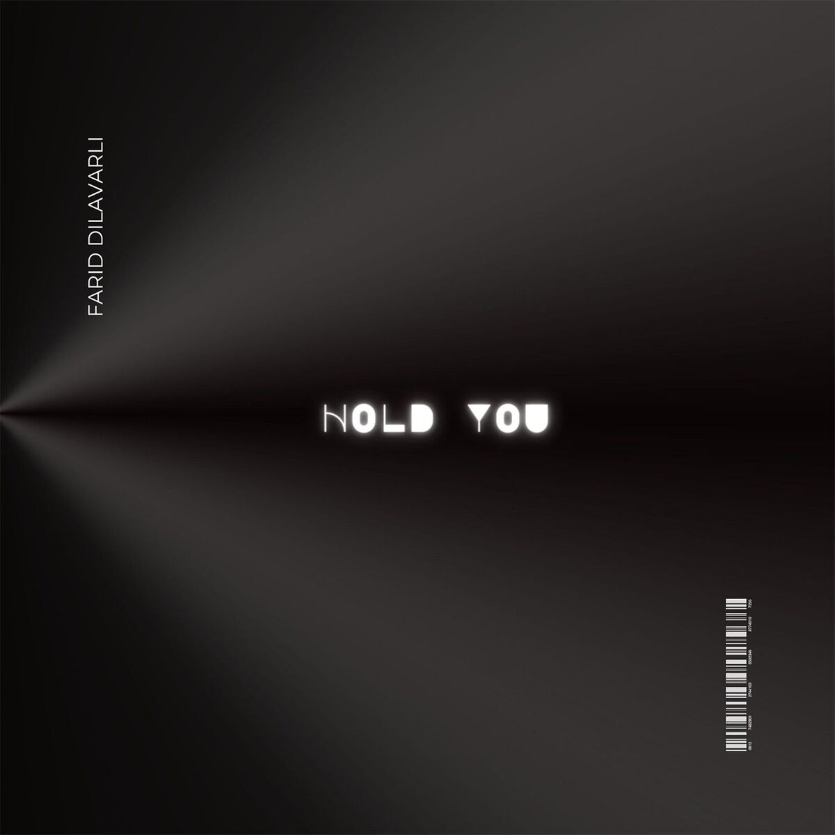 Album cover of Hold You