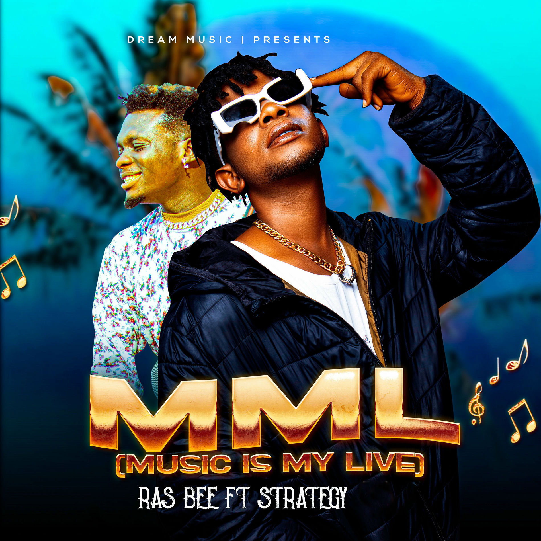 Album cover of Mml (Music Is My Life)