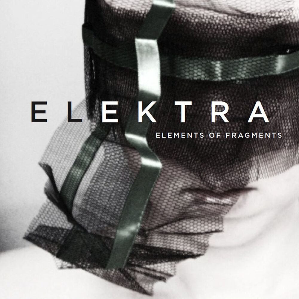 Picture of Elements of Fragments
