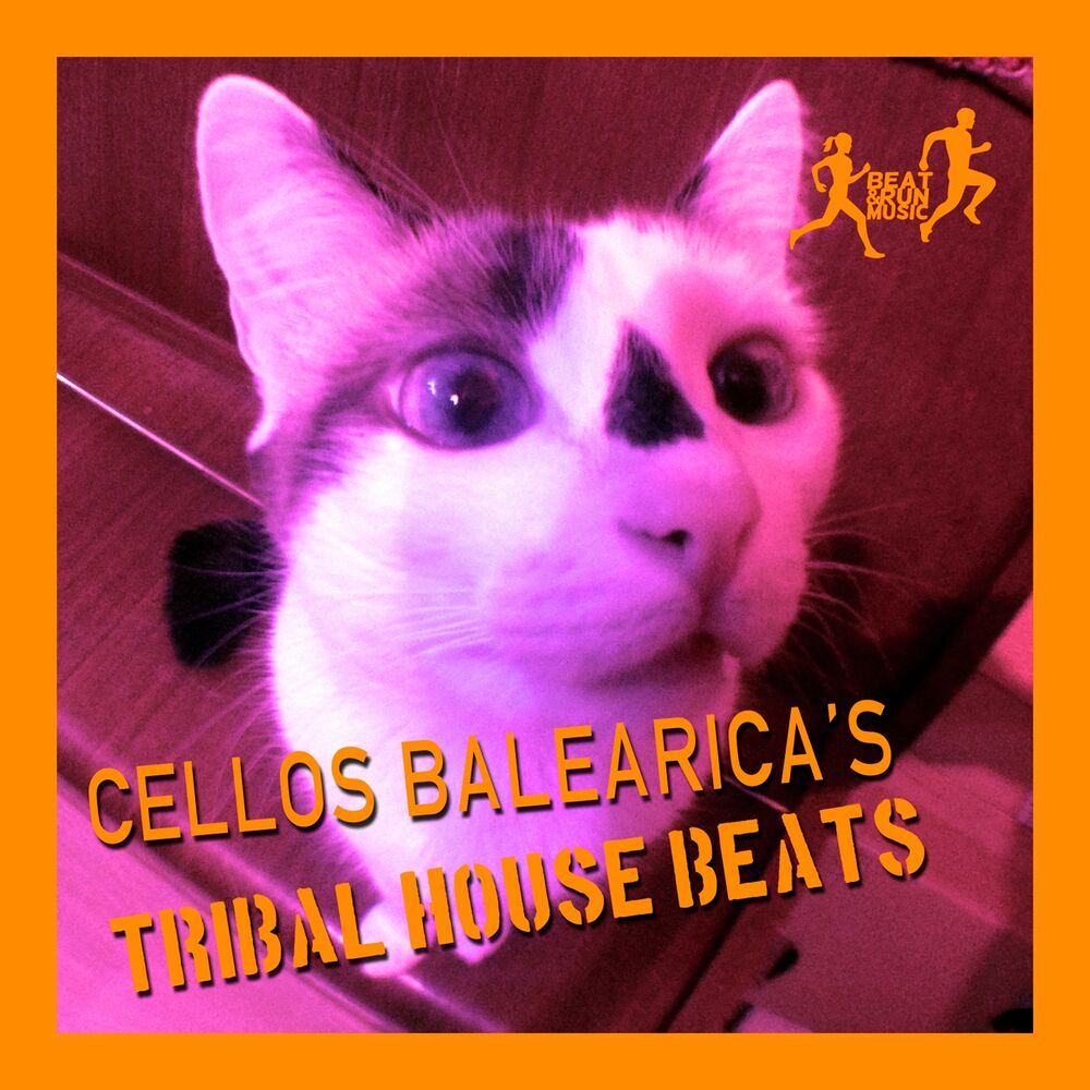 Picture of Cellos Balearica's Tribal House Beats
