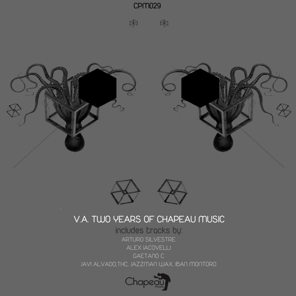 Picture of V.A Two Years Of Chapeau Music