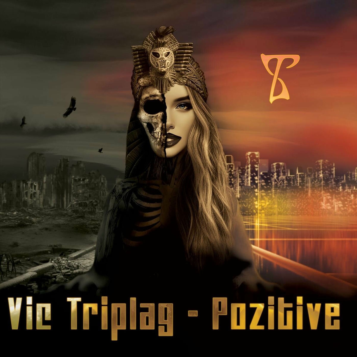 Album cover of Vic Triplag - Pozitive