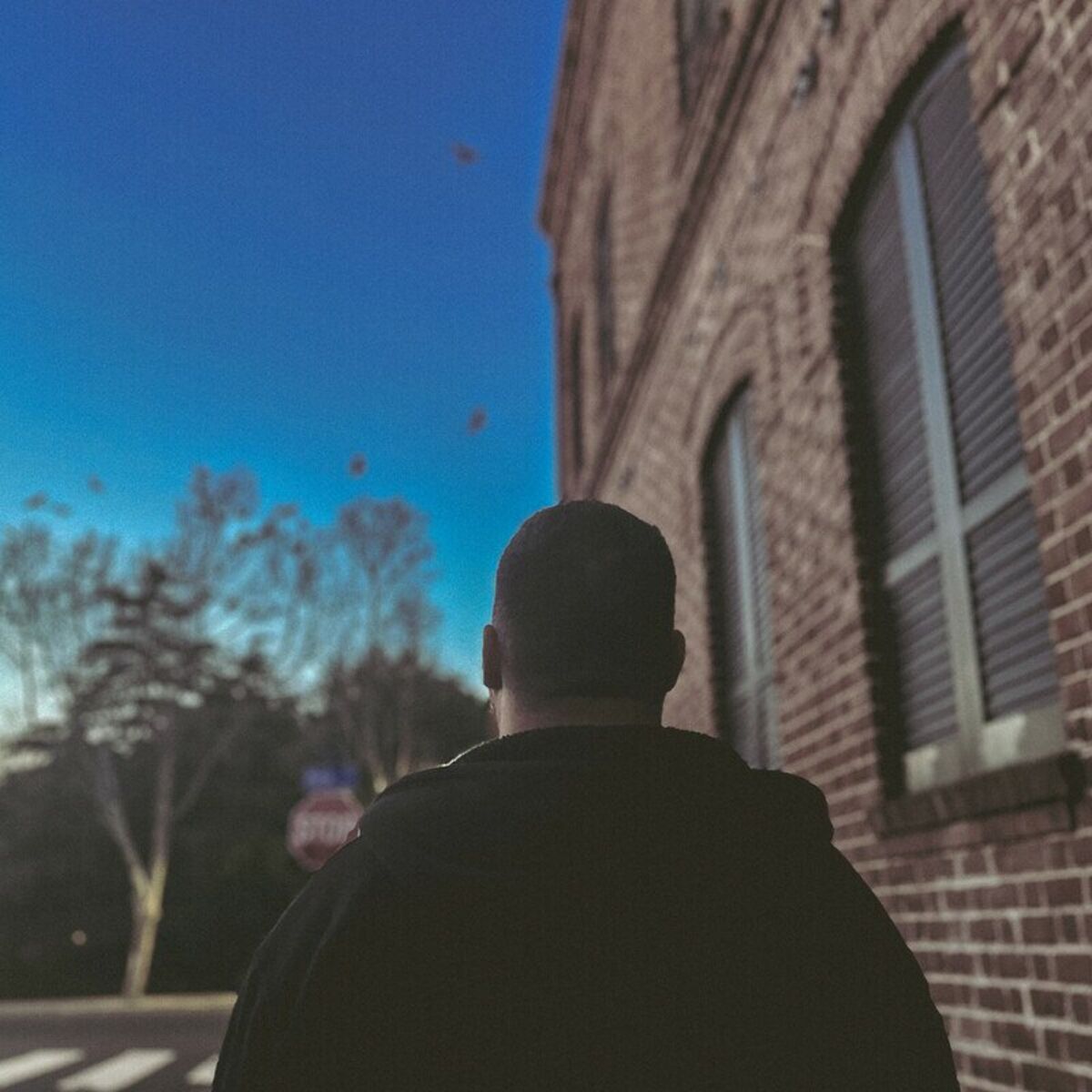Album cover of Shoulders