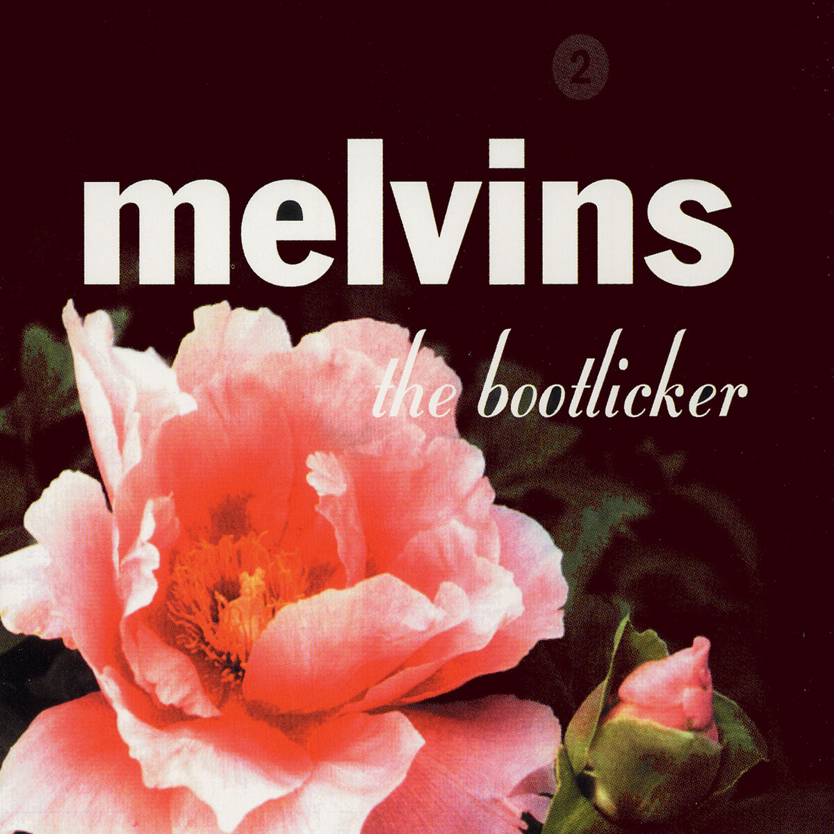 Album cover of The Bootlicker