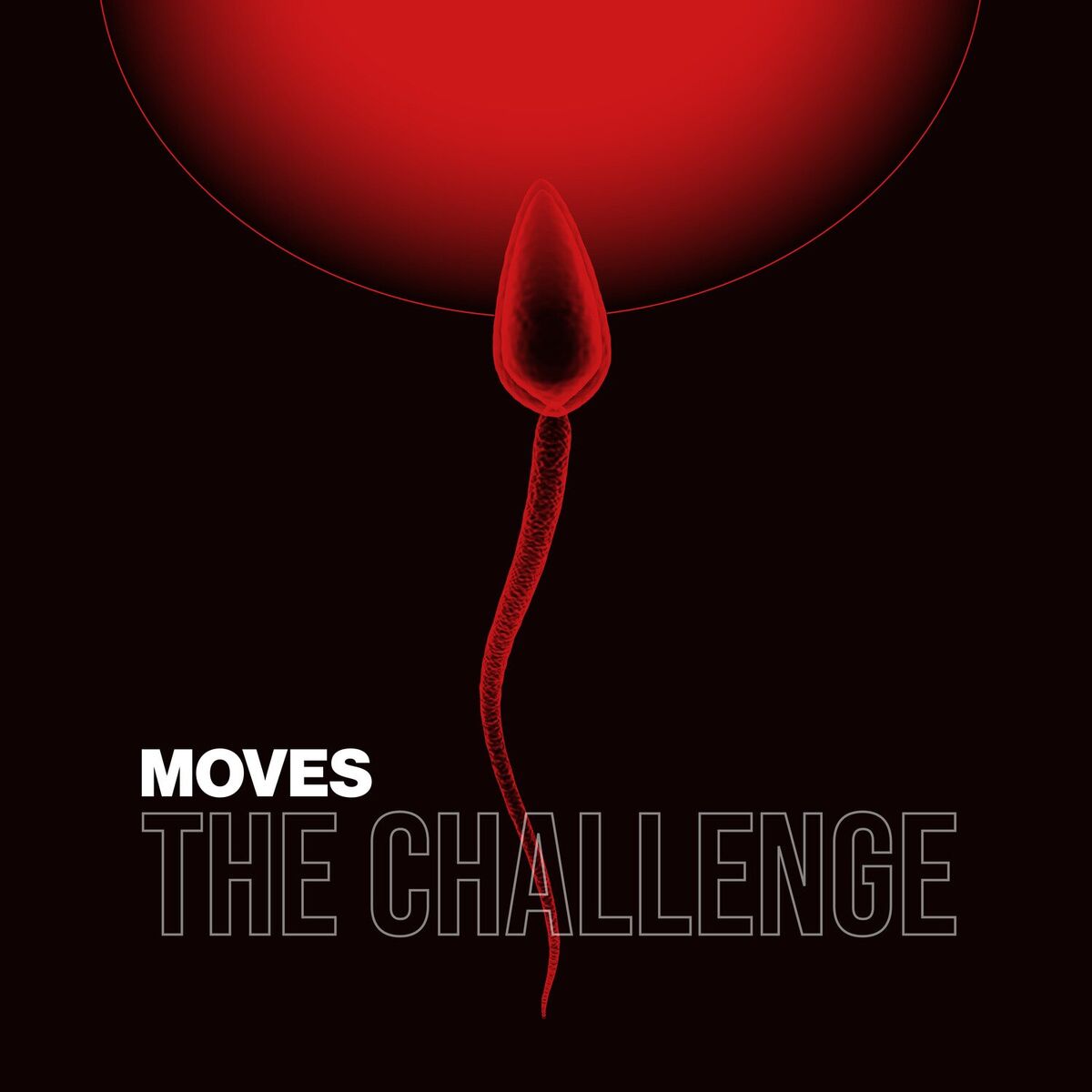 Album cover of The Challenge