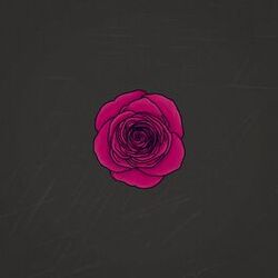 Cover of Youth