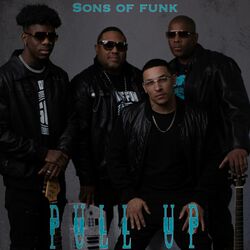 Cover of Pull up
