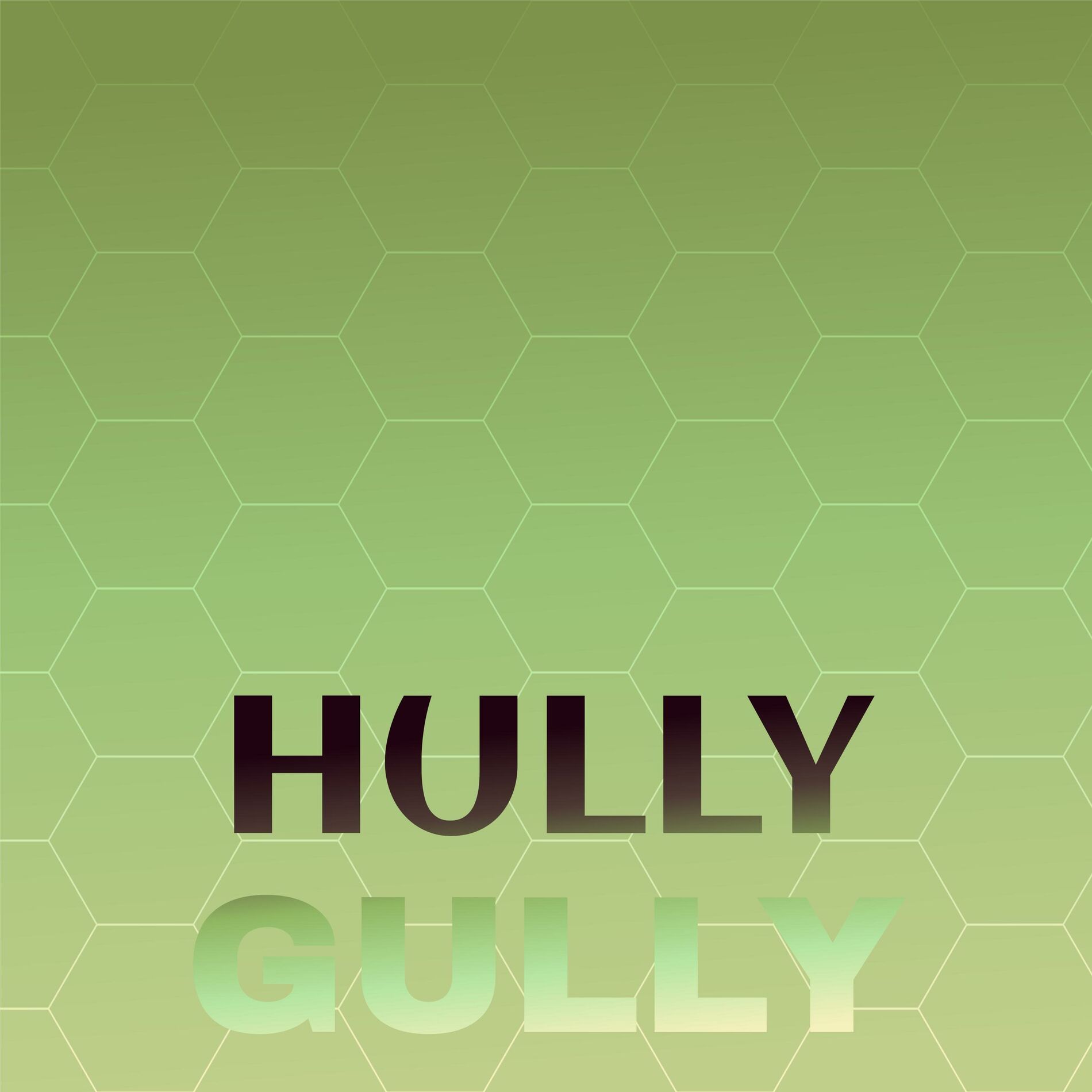 Album cover of Hully Gully