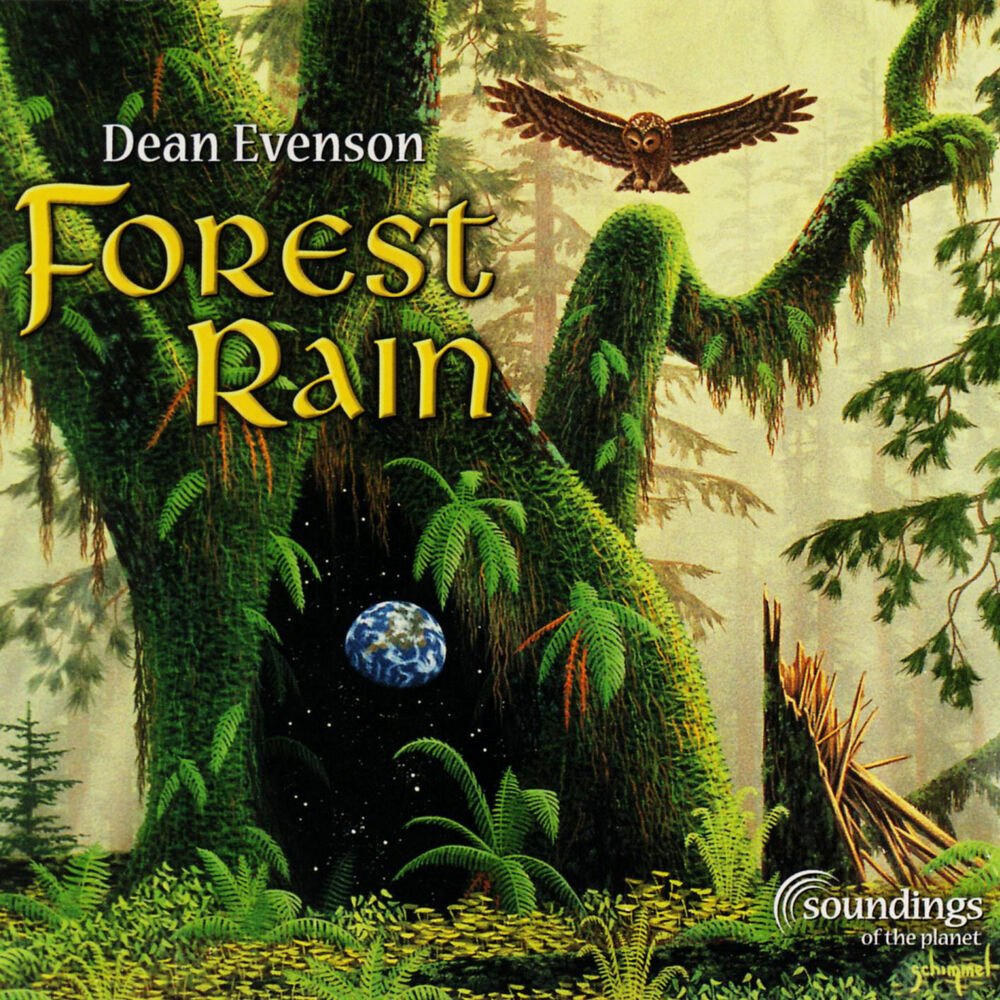 Picture of Forest Rain