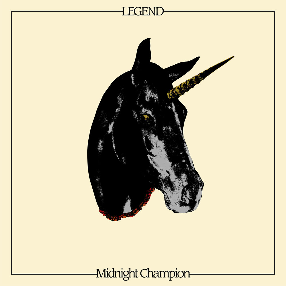 Picture of Midnight Champion
