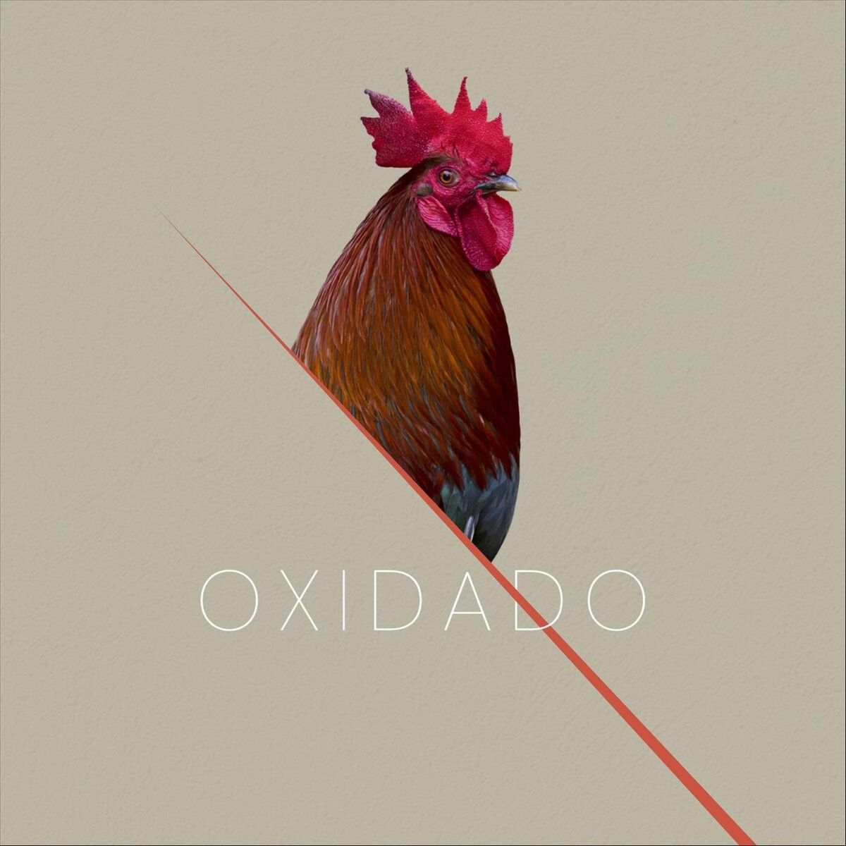 Album cover of Oxidado