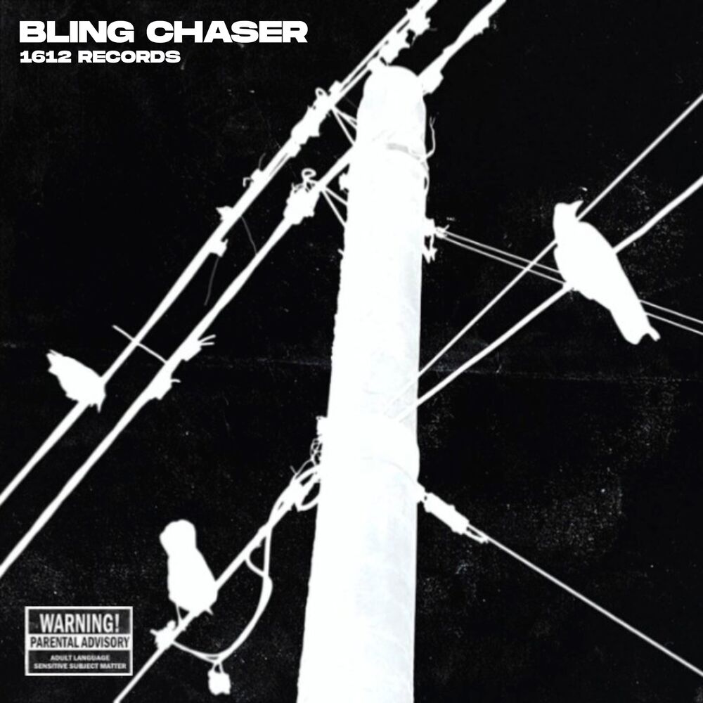 Picture of Bling Chaser