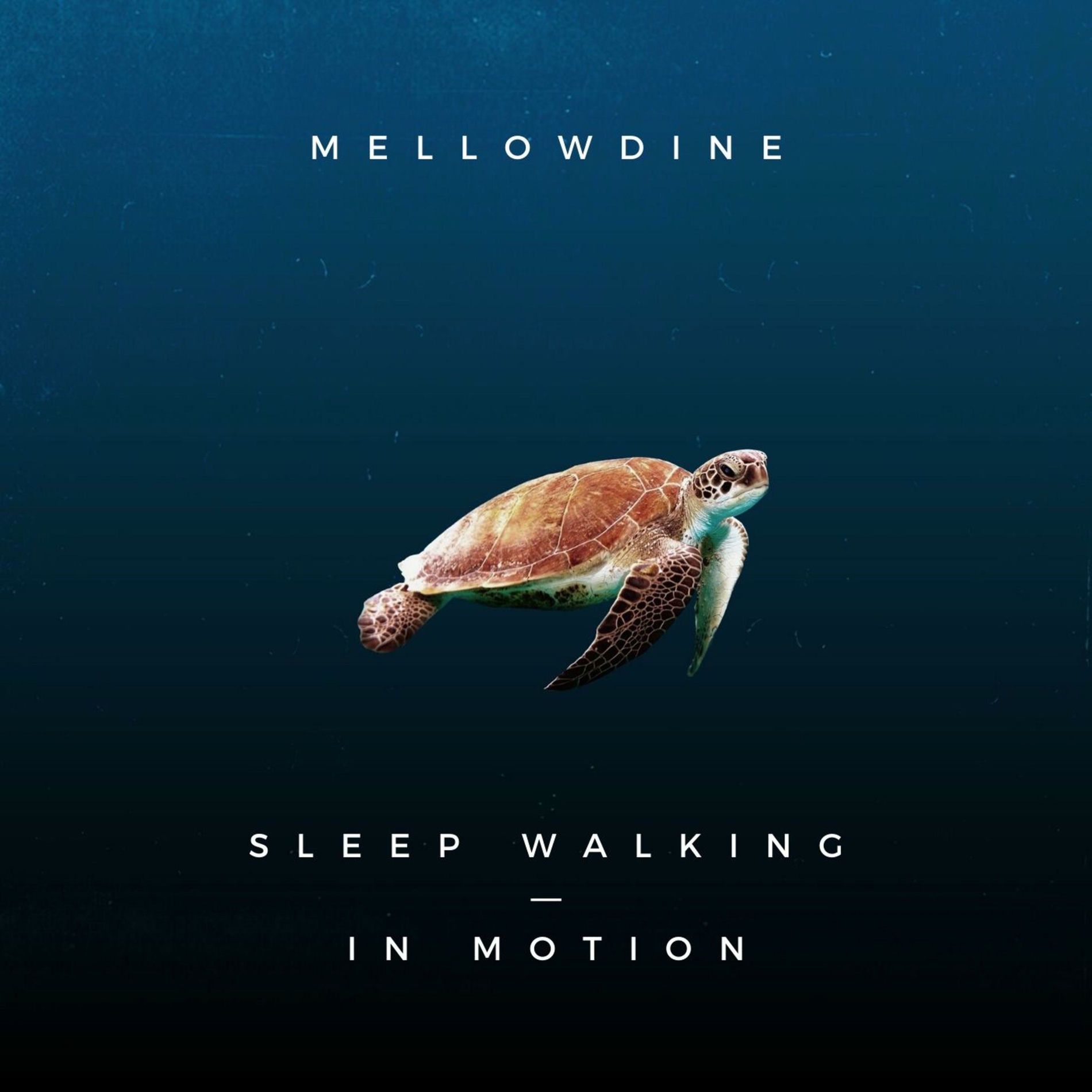 Album cover of Swim
