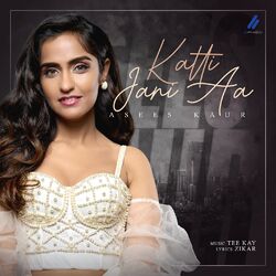 Cover of Katti Jani Aa