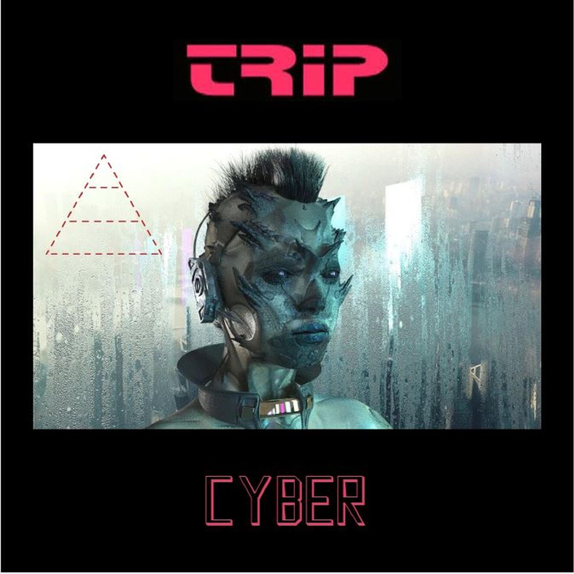 Album cover of Cyber