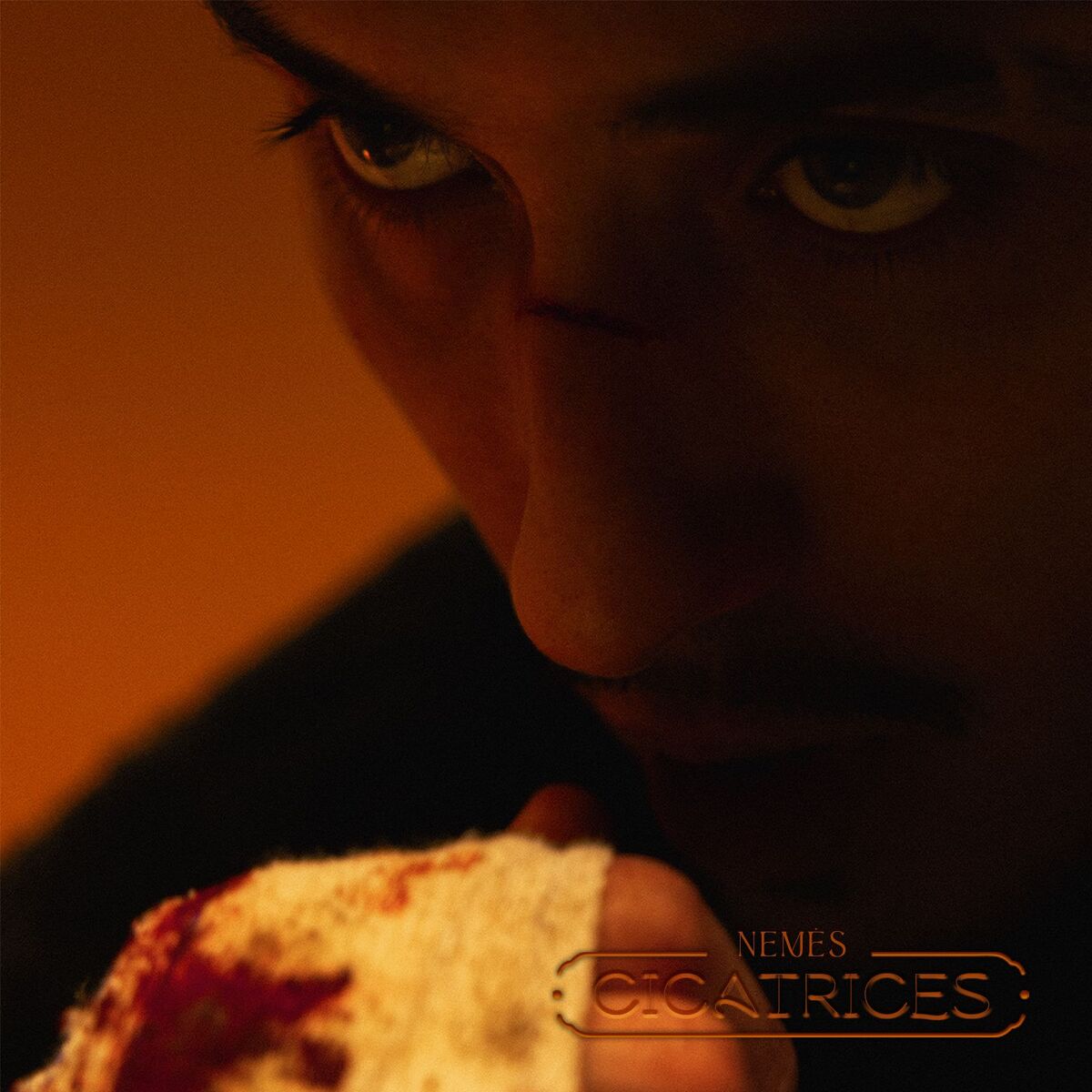Album cover of Cicatrices