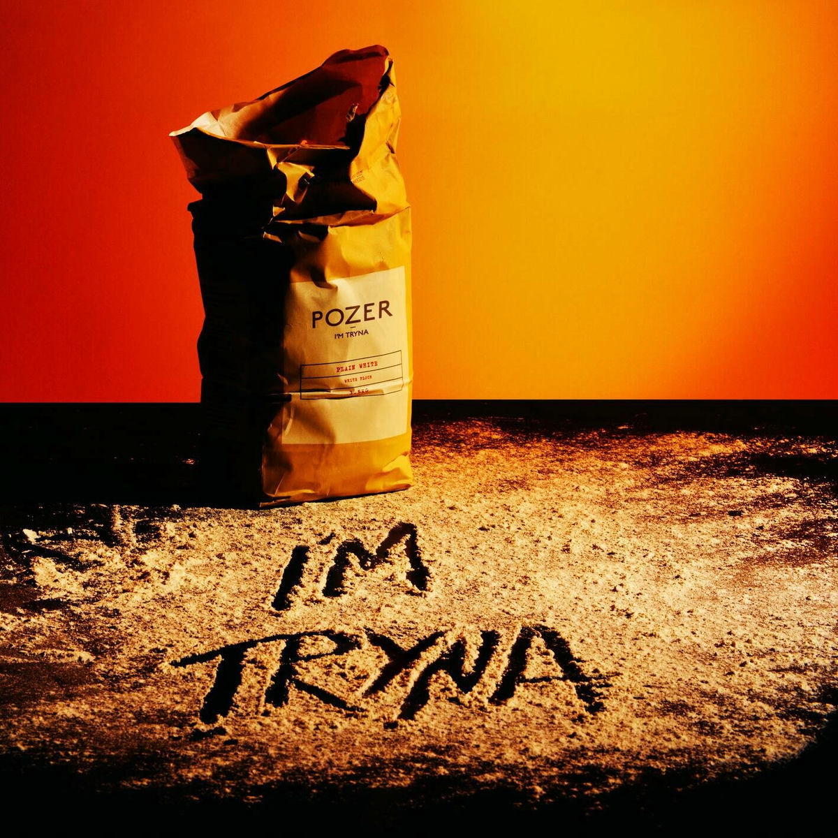 Album cover of I'M TRYNA