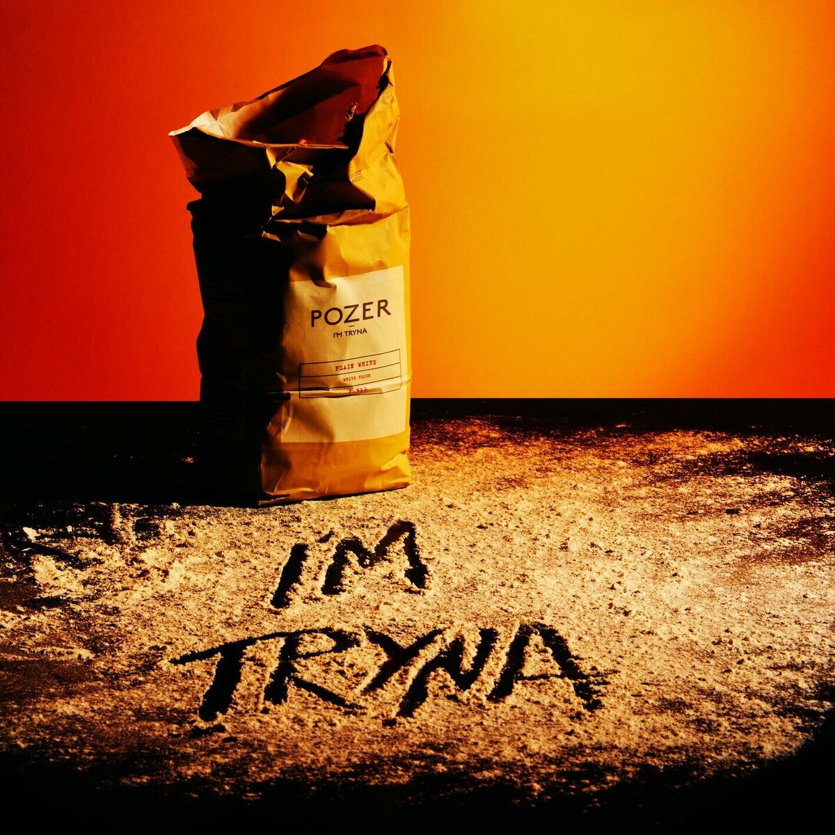 Album cover of I'M TRYNA