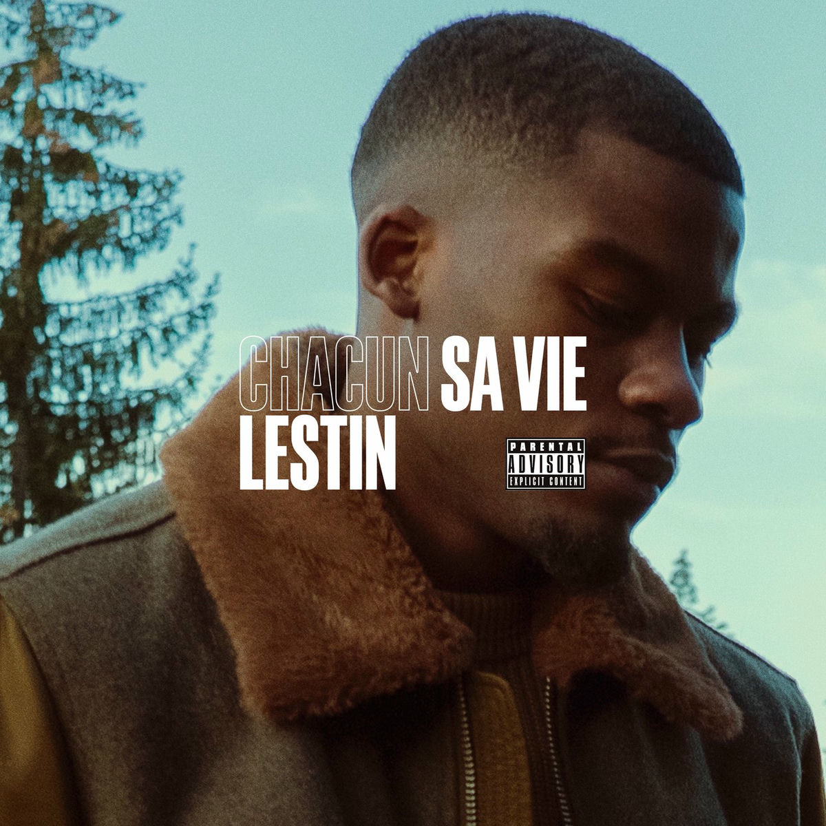 Album cover of Chacun sa vie