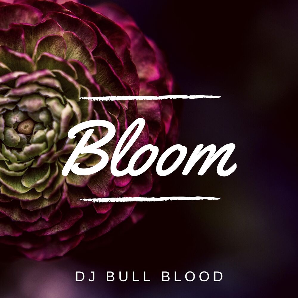 Picture of Bloom