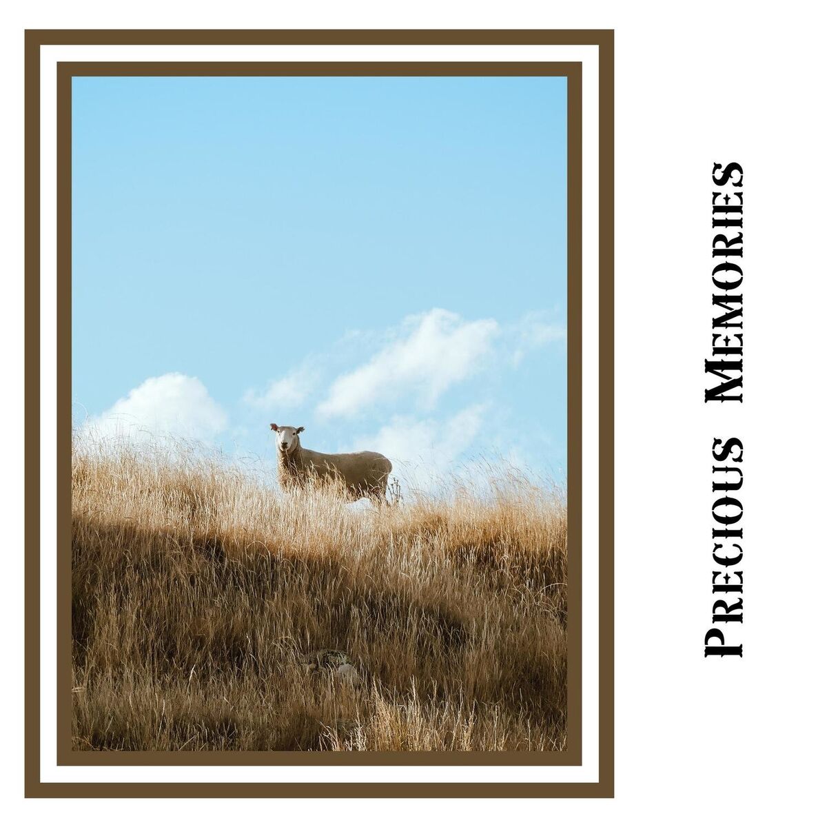 Album cover of Precious Memories Country Music
