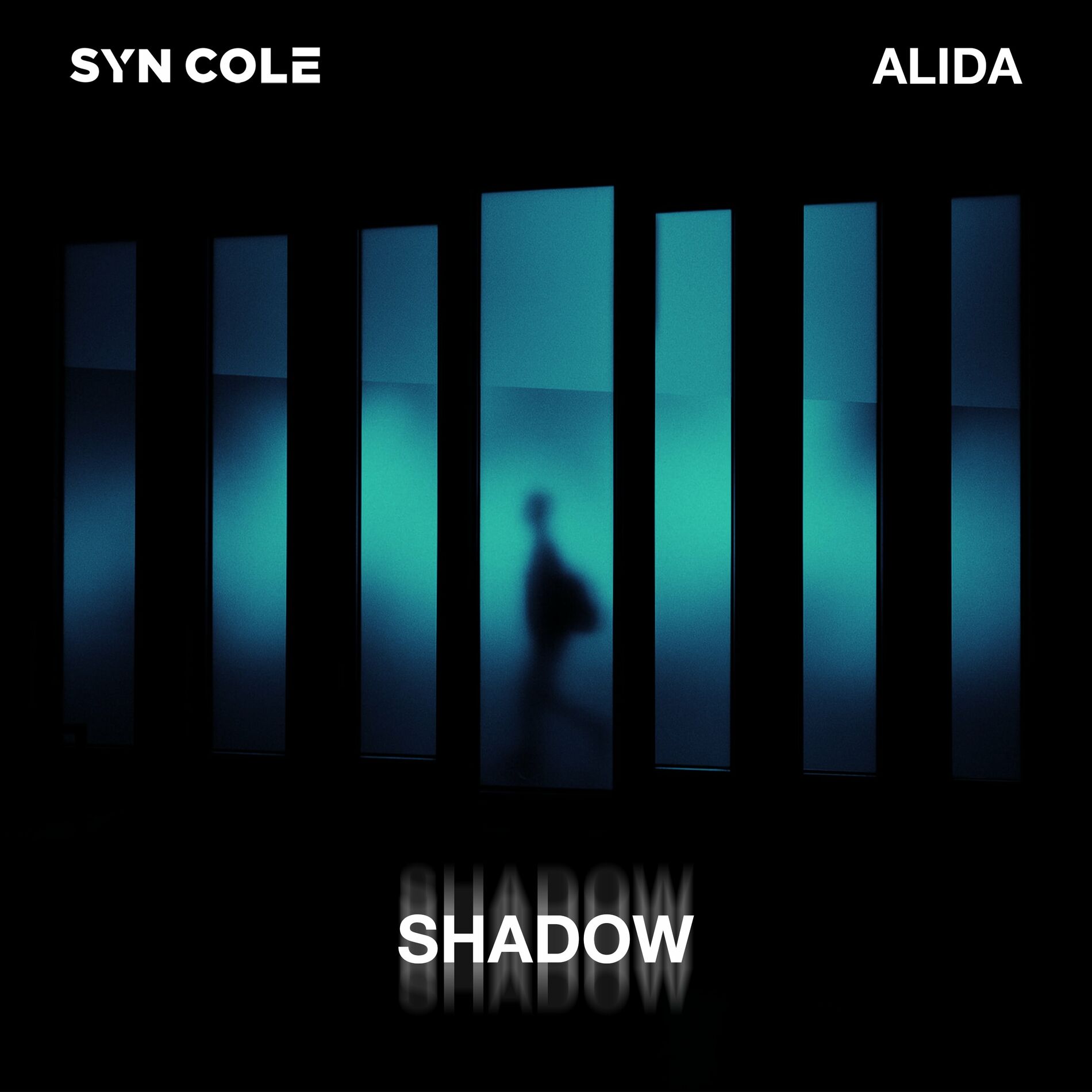 Album cover of Shadow