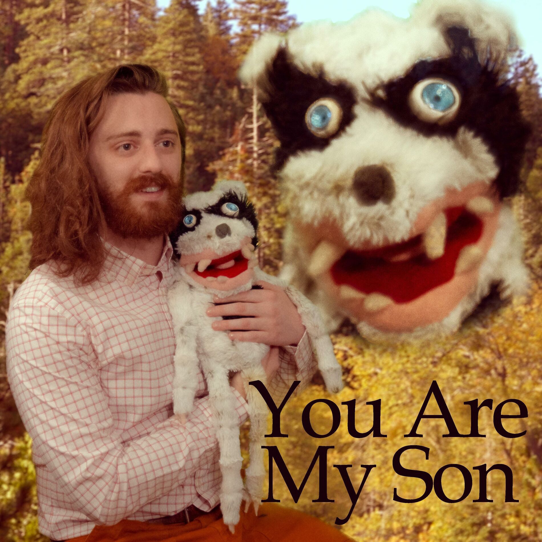 Album cover of You Are My Son