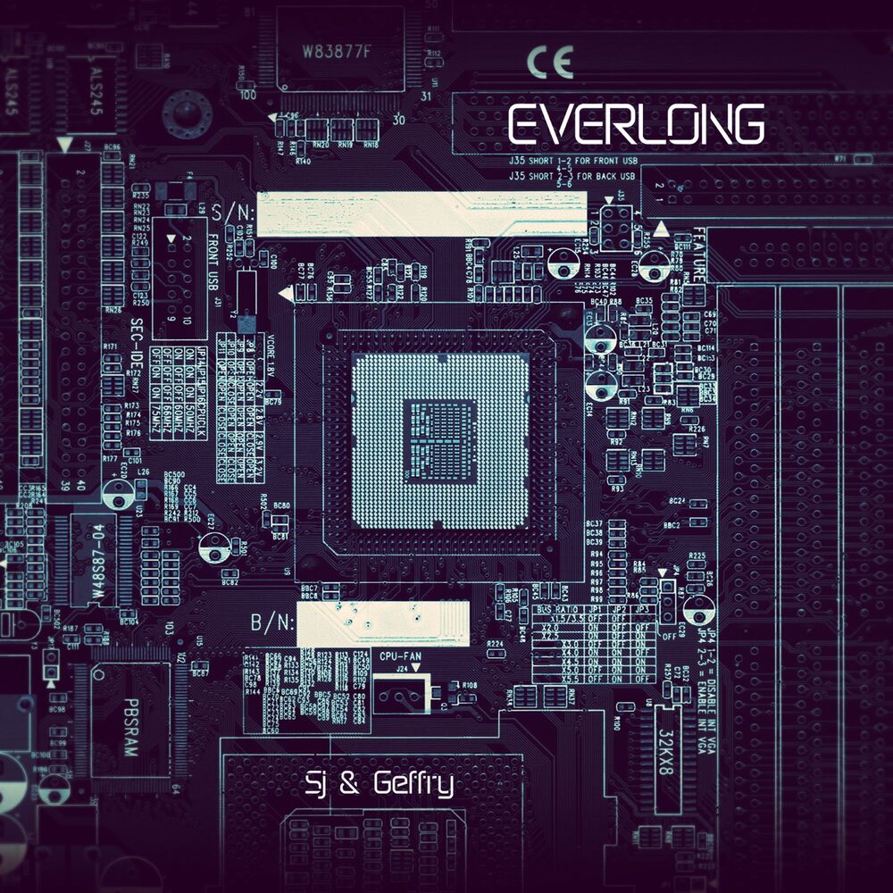 Picture of Everlong