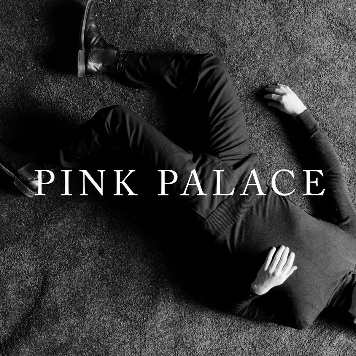 Album cover of We Were Never Alive