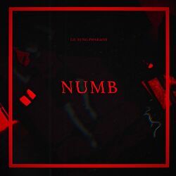 Cover of Numb