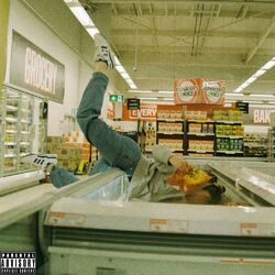 Cover of Quit Your Job